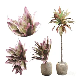 Interior flower pack